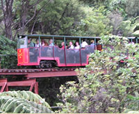 Driving Creek Railway